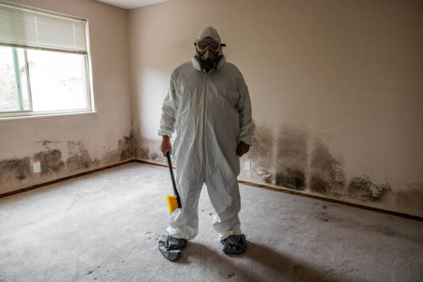 Crawl Space Mold Removal in Belmond, IA